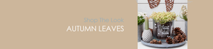 Shop The Look AUTUMN LEAVES...