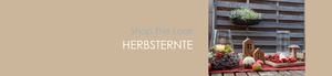 Shop The Look HERBSTERNTE