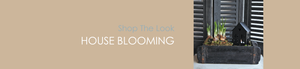 Shop The Look HOUSE BLOOMING