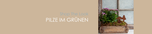 Shop The Look PILZE IM GRÜNEN
