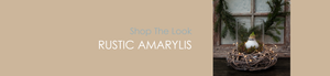 Shop The Look RUSTIC AMARYLIS