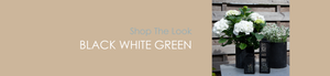 Shop The Look BLACK WHITE GREEN