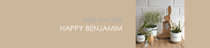 Shop The Look HAPPY BENJAMIM